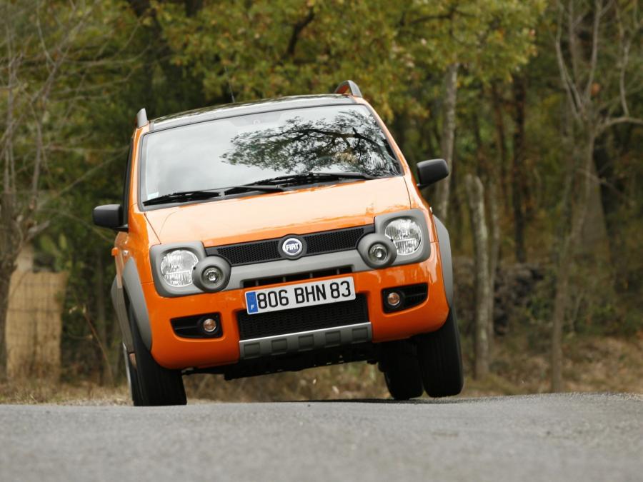  Fiat Panda Cross 2005 года  (фото 34 из 48)
